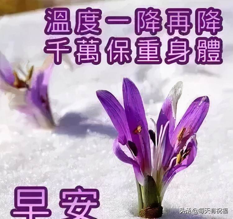 早安祝福語大全圖片大全畫面_每日問候早安心語圖片表情早晨