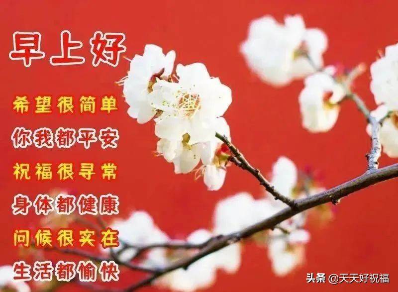 2月8日早上好祝福圖片_四月一日早上好祝福語