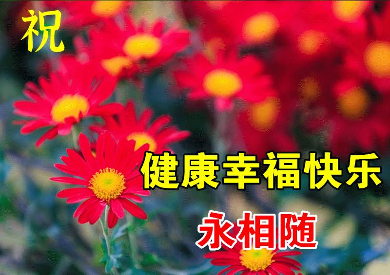 愿你開心每一天祝福語_每一天都要祝你快快樂樂