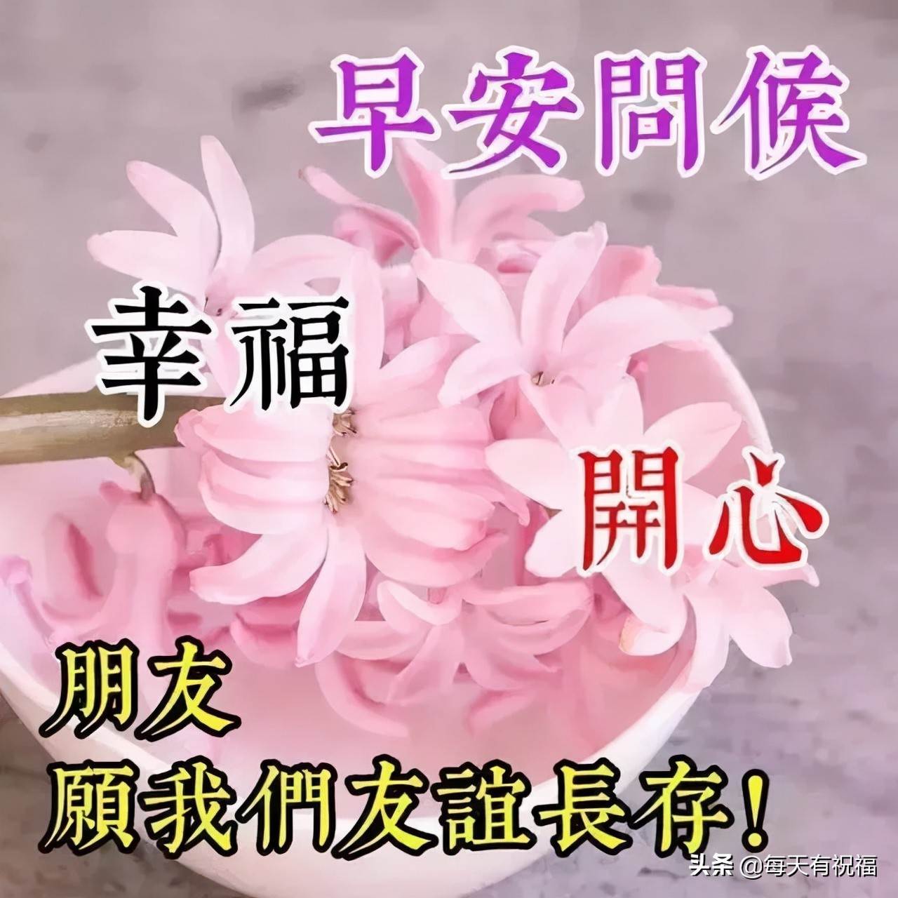 早安祝福語大全圖片大全畫面_每日問候早安心語圖片表情早晨