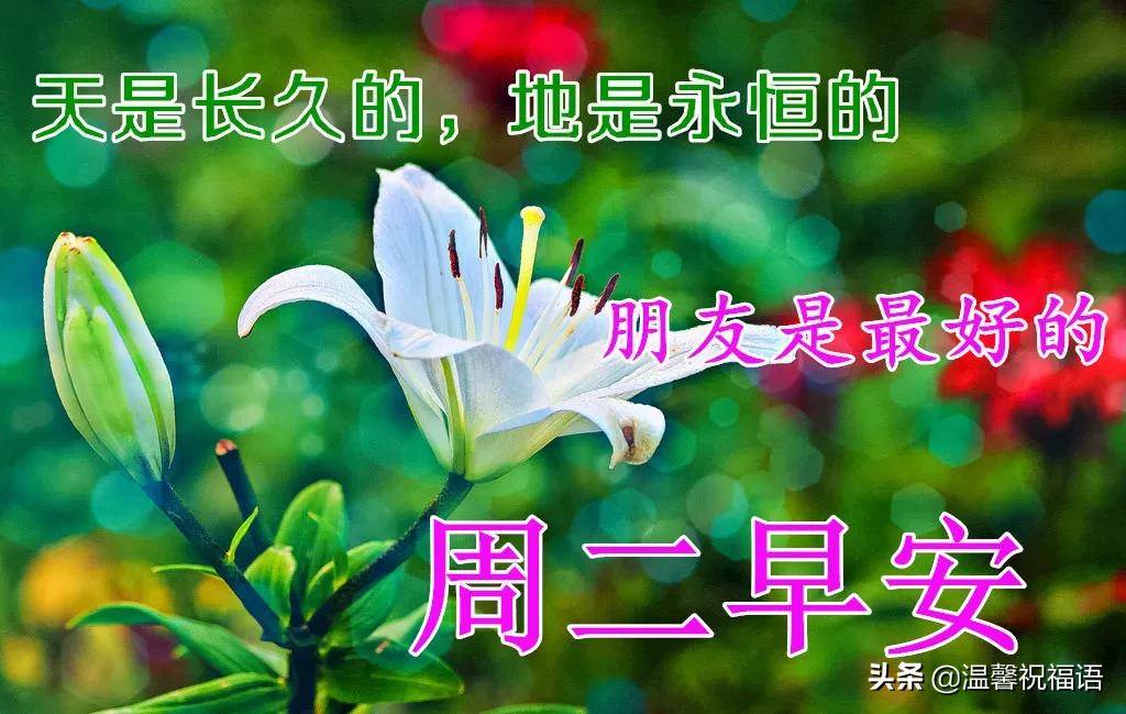 冬天里早晨最美動態圖片和問候語（11月早上好的句子圖片）