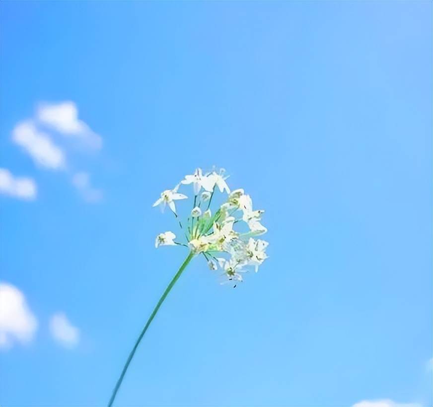 五月早安正能量短句_關于五月早安的句子