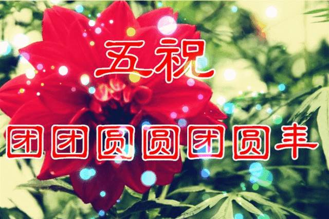 鼠年祝賀詞_鼠年新年賀詞祝福語