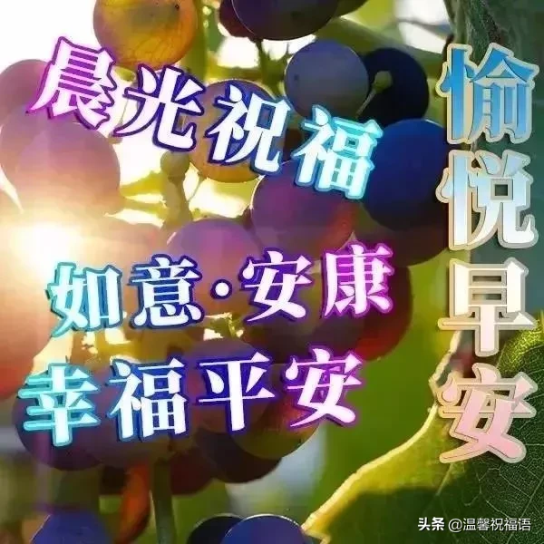 早上好溫暖的祝福送給你（把最美的祝福送給你早安）