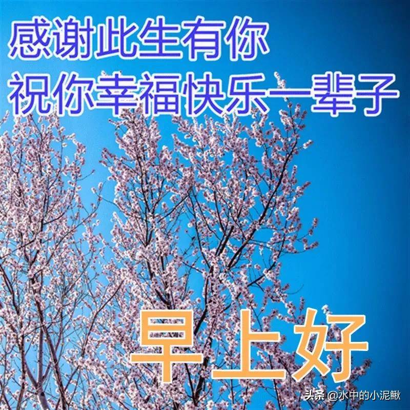 發朋友圈新的一天早安的句子（朋友圈早安語錄微信早安語錄）