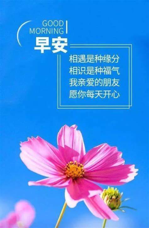 早安圖片問候語勵志正能量（正能量的早安心語勵志圖片大全）