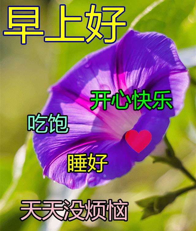 冬天里早晨最美動態圖片和問候語_冬至問候語動態圖片早上好