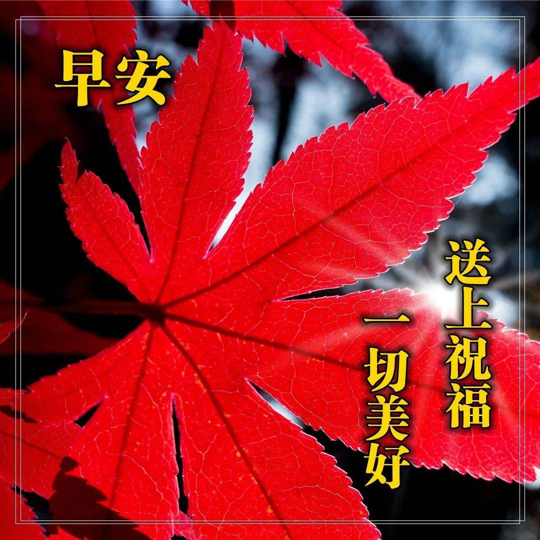 最新早上好祝福問候語圖片大全集（早上好問候語溫馨短句圖片大全）