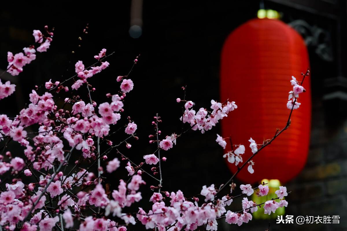 春意舊乾坤詩句意思_詩詞里的新年祝福