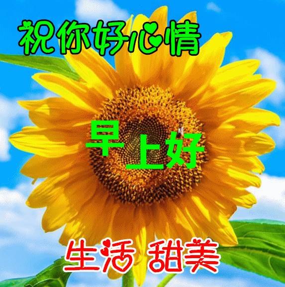 早上祝福語圖片早上表情祝福大全_早上好祝福發財語圖片