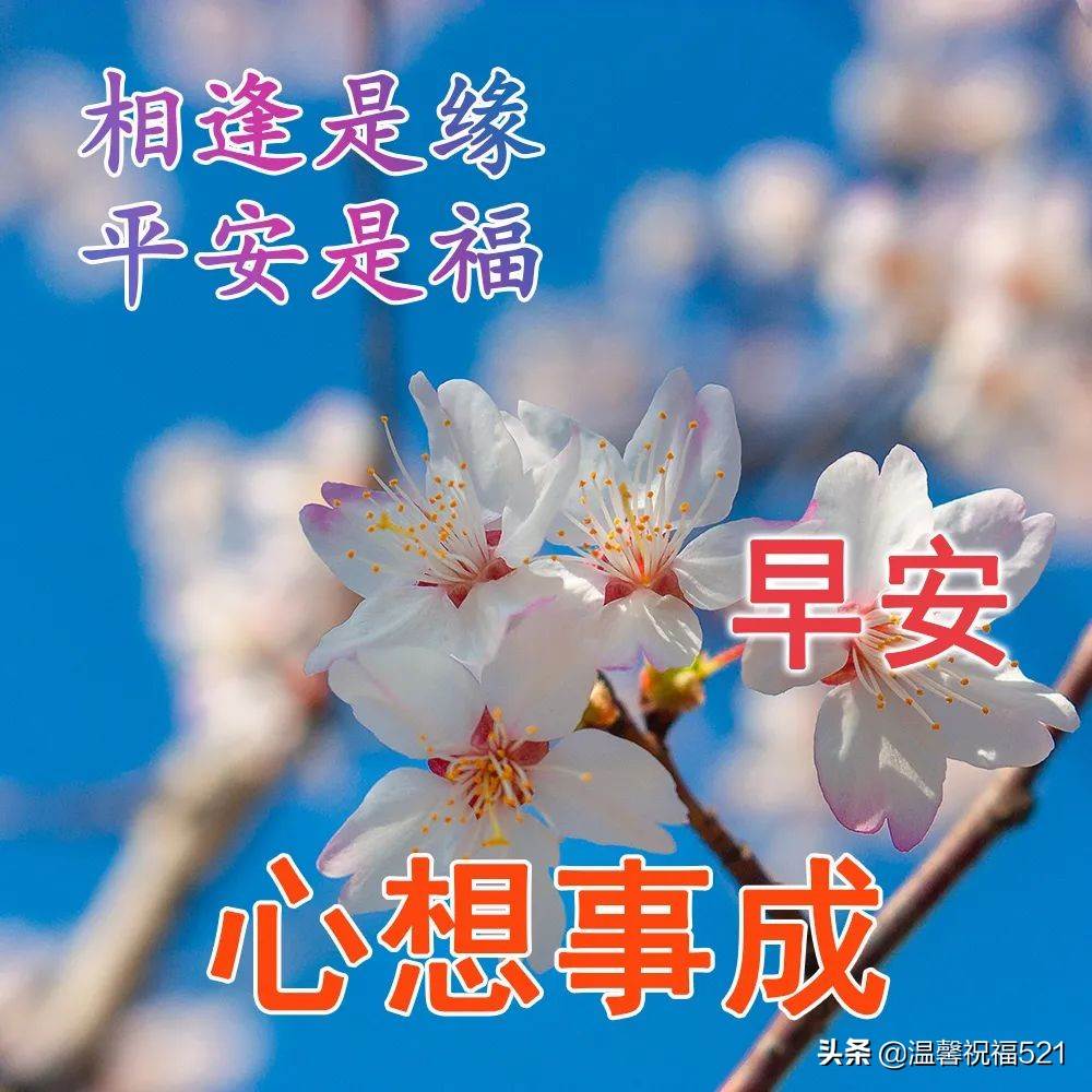 早安祝福問候語早安動態圖片（最新版早上好問候語句早安問候表情圖片帶好詞語宇）