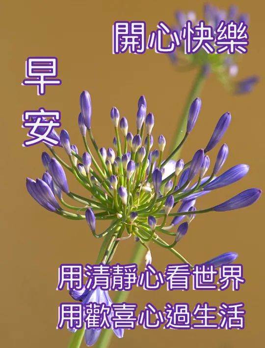 精選40句微信早安問候語早安心語_微信早安問候語經典語句