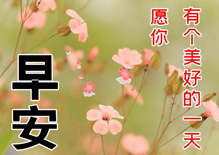 新大家早上好動態圖片問候語_早上好新年快樂動態圖片大全