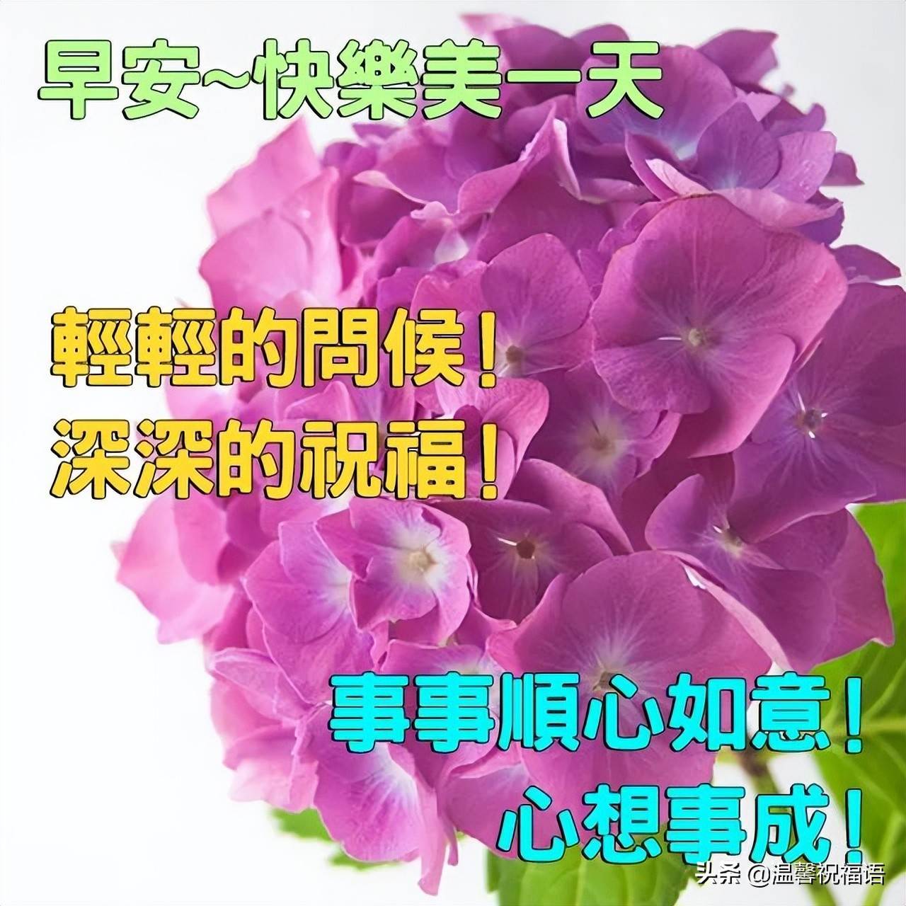 最美的早上好問候語 今天的早上好問候語