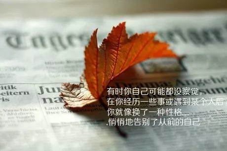 最走心的經典句子句句精辟2022（句句經典）