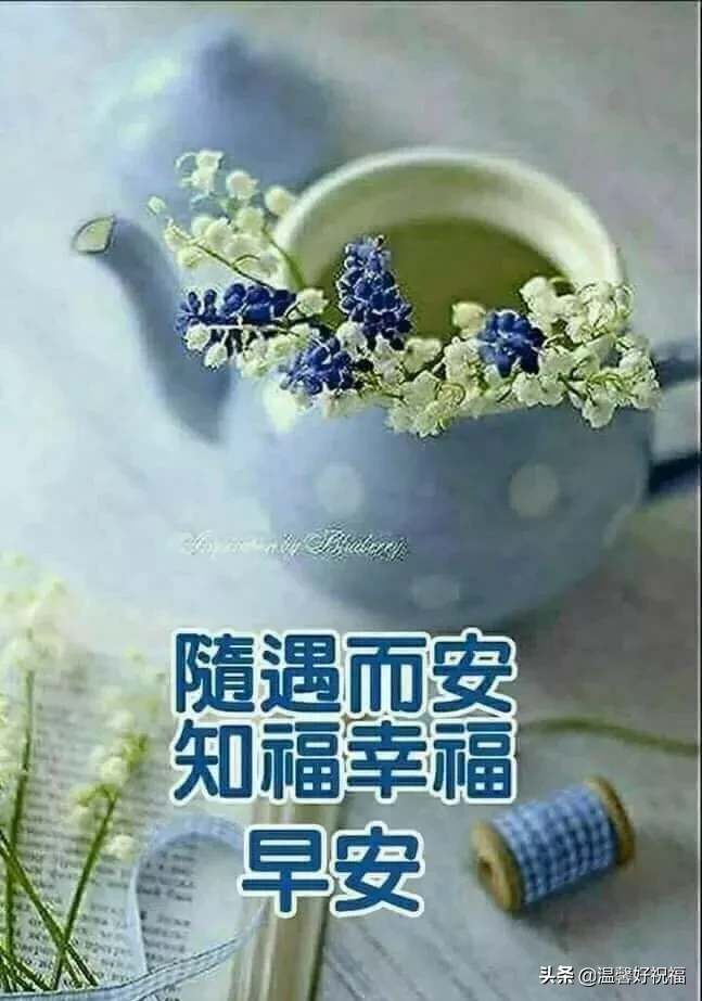 正能量勵志問候語帶圖片 陽光祝福正能量的句子簡短