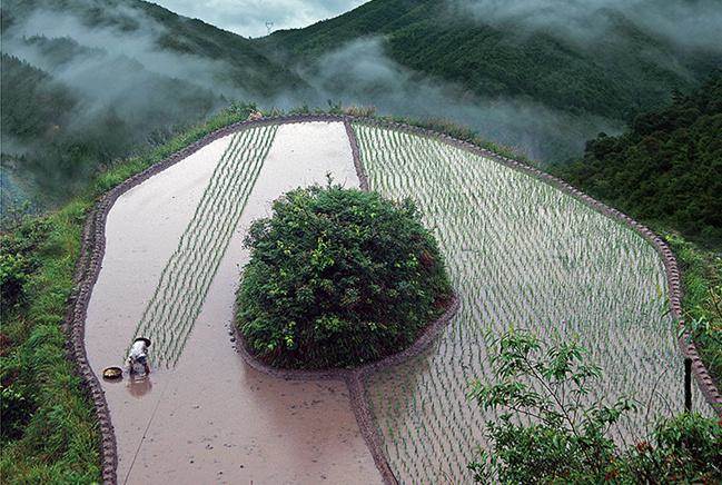 麗水美景句子 麗水風景圖片