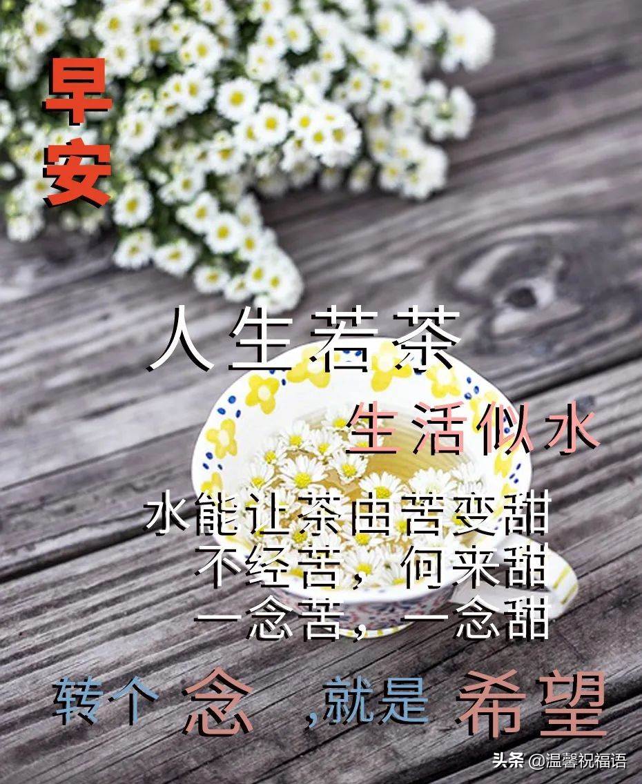 早上好祝福帶字美麗圖片 上午好圖片帶字祝福語