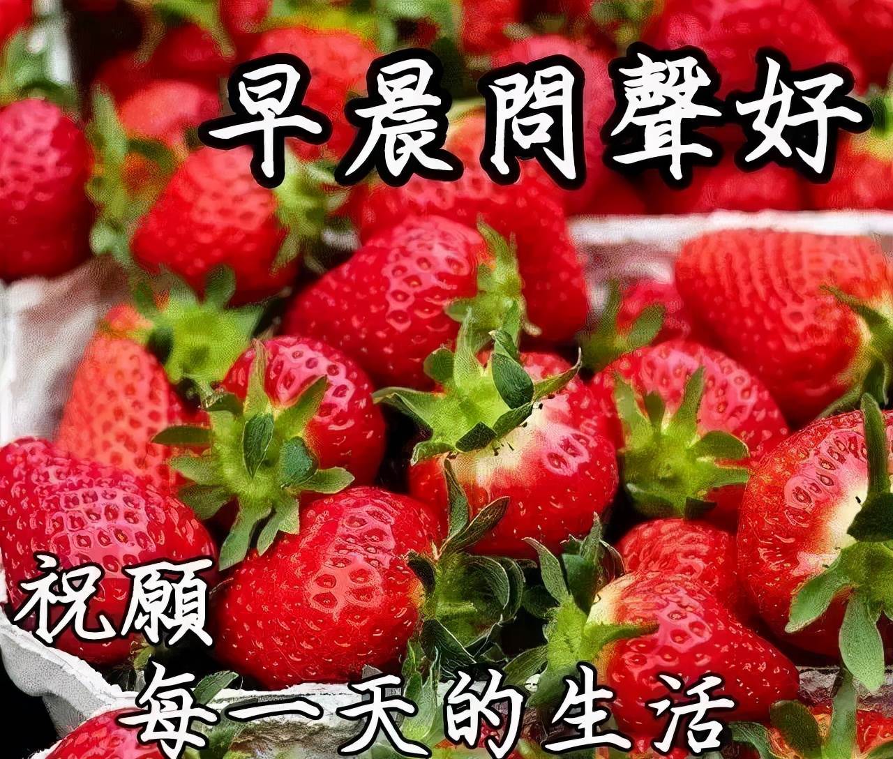 適合早上發朋友圈的文案和圖片_朋友圈早安素材圖片和文案