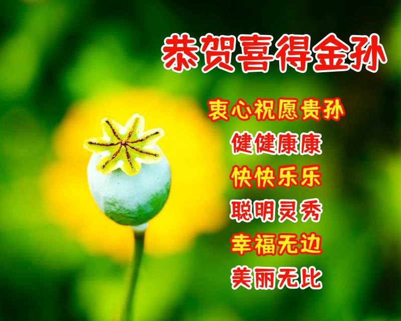 祝福朋友的話和圖片_祝福朋友的話語圖片