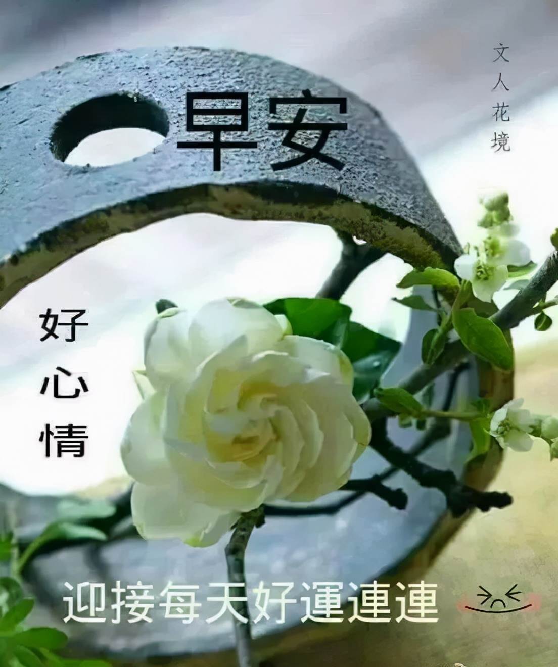 早上好圖片大全最美祝福語溫馨_健康快樂平安幸福的早上好圖片