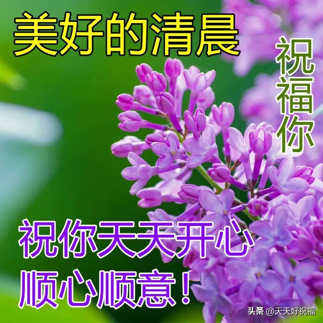 最美早安祝福圖片帶字圖片大全_最新特別漂亮早安問候祝福圖片帶字