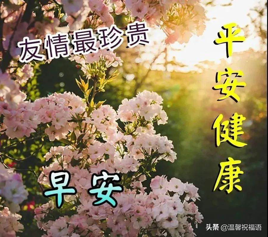 周六早安問候語圖片_早安一聲問候滿滿祝福