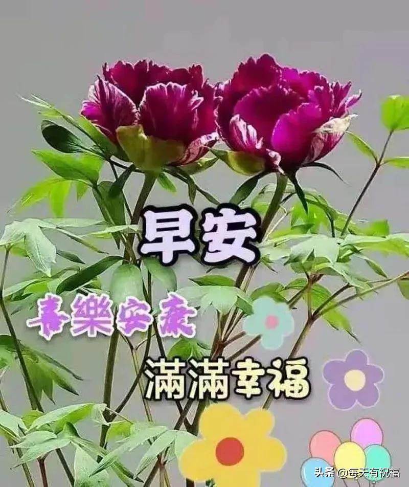 特別漂亮的早安祝福動態圖片大全 最新早安祝福圖片大全