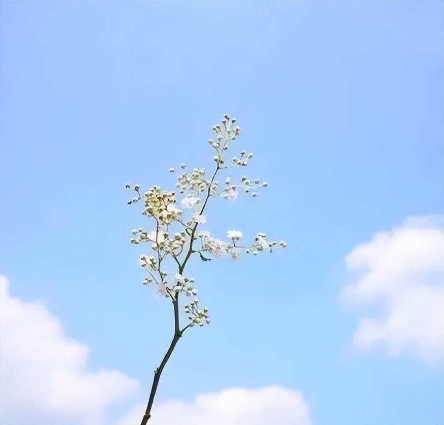 五月早安正能量短句_關于五月早安的句子