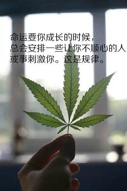 朋友圈最精辟的人生感悟經典語錄（朋友圈最精辟的人生感悟經典語錄）