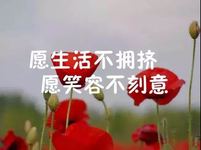 適合發表心情的句子_總有一句適合自己