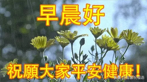 早上好溫暖的祝福送給你（把最美的祝福送給你早安）