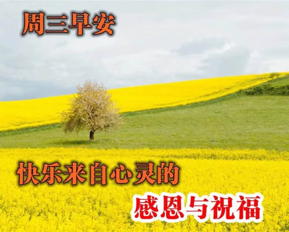 愿你開心每一天祝福語_每一天都要祝你快快樂樂