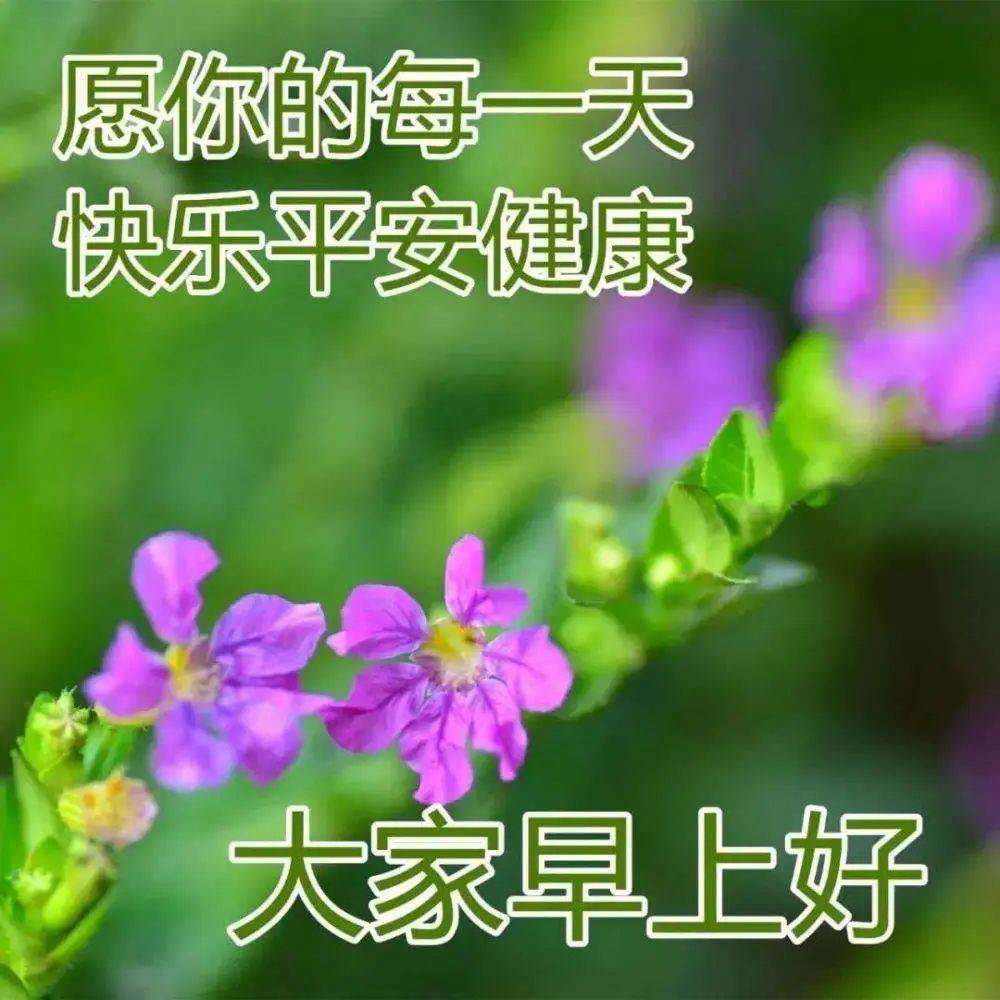 給朋友的早安信息_給好朋友的早安祝福短信