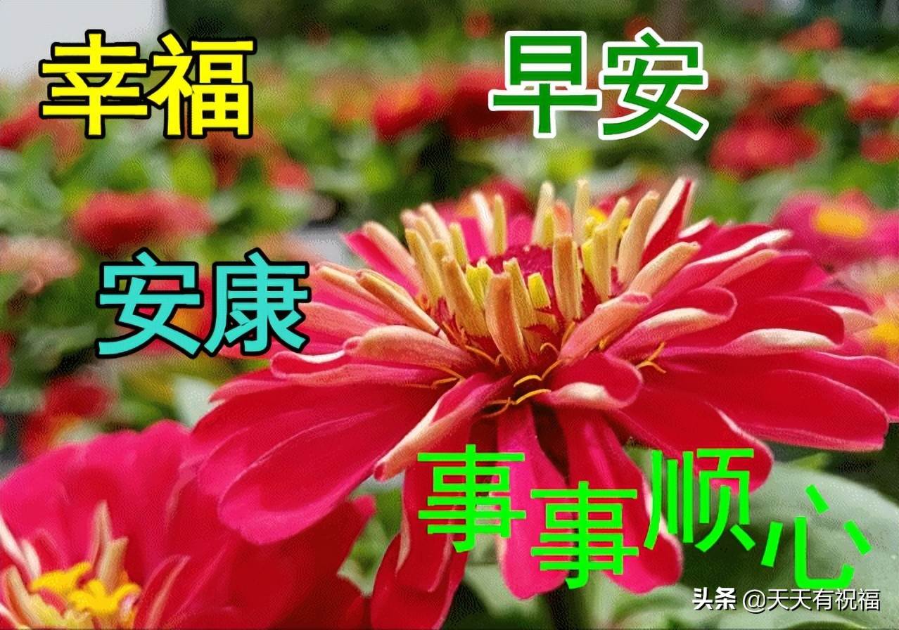 早上好祝福語大全早上好動態圖片大全 特別漂亮的早上好圖片祝福表情包