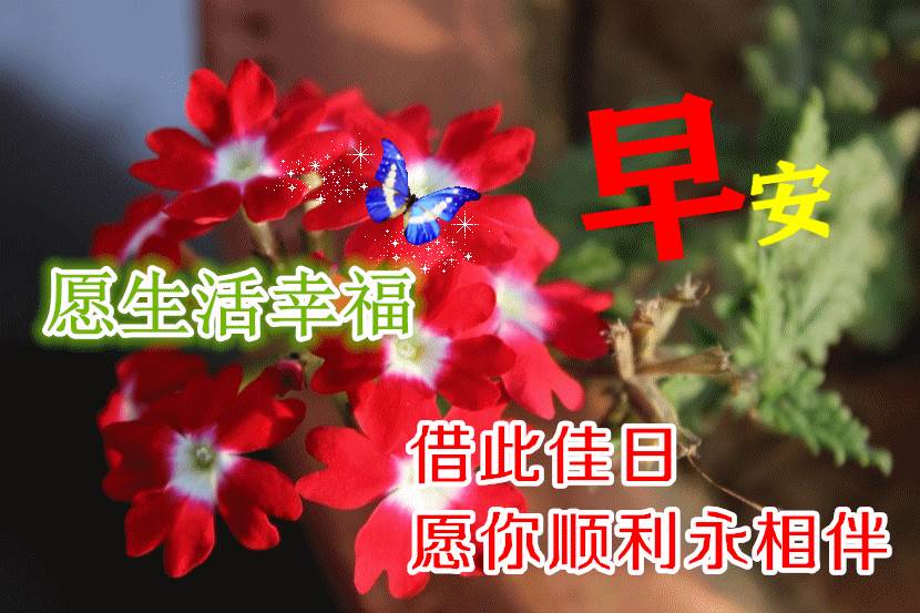 天冷了注意保暖的祝福語_天氣冷了早安的祝福語