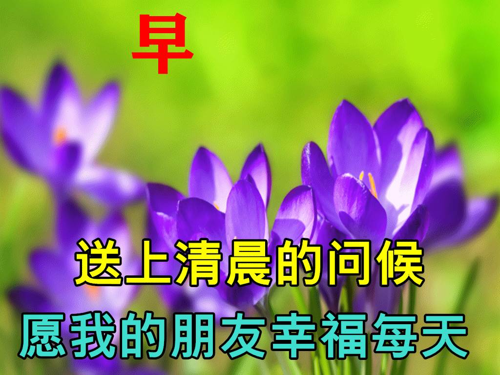 早安溫馨祝福文字圖片（早安帶字祝福快樂圖片）