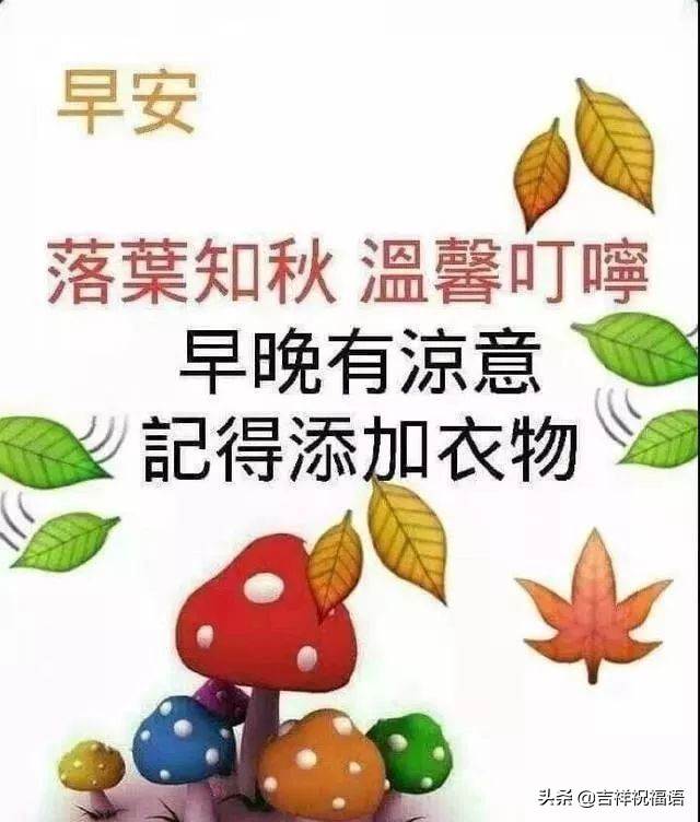 微信早晨最暖心的問候語（溫馨早晨問候語）