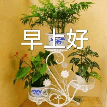 早上好祝福朋友（吉祥如意）