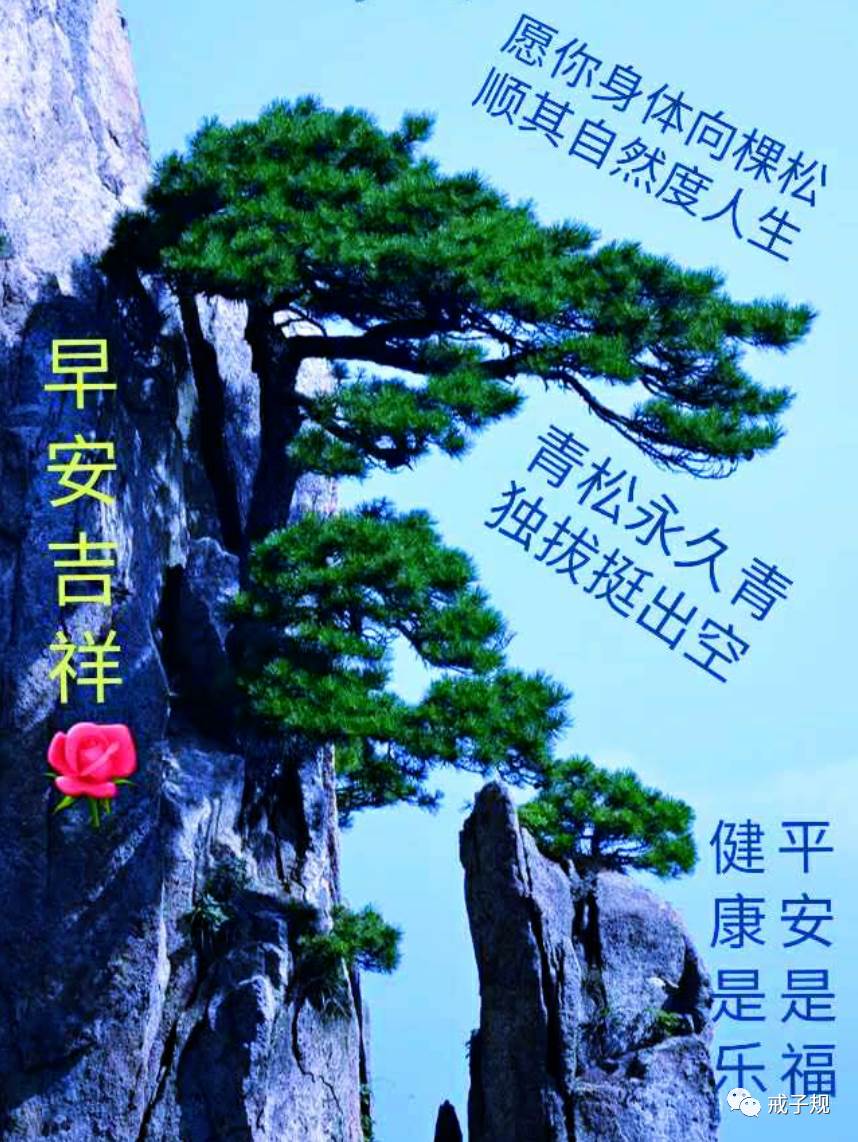 正能量的早上祝福問候圖片_早上好祝福語動態圖片問候