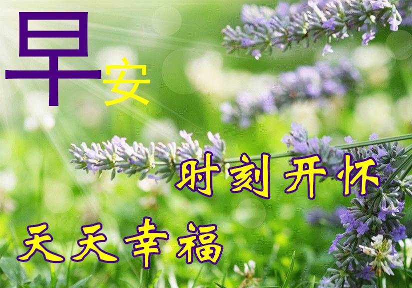 早上好祝福帶字美麗圖片 上午好圖片帶字祝福語