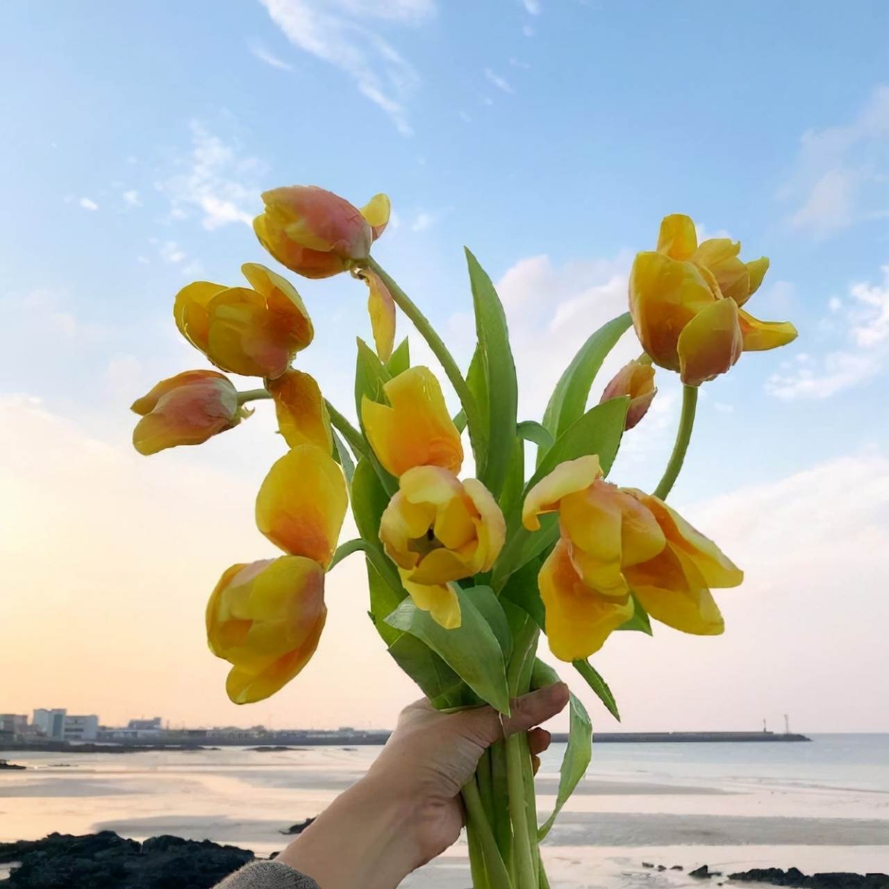 晚安治愈心靈的句子 最打動人心的晚安說說