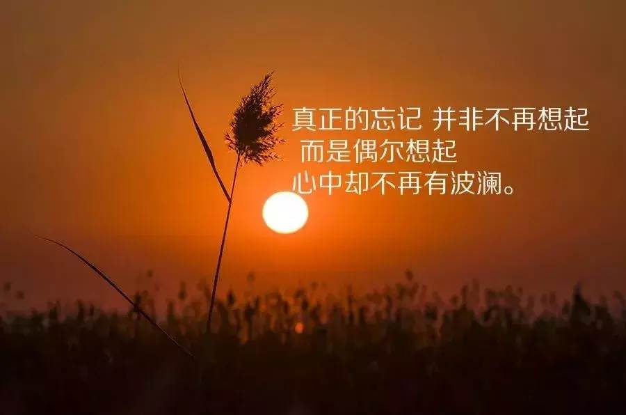 適合發表心情的句子_總有一句適合自己