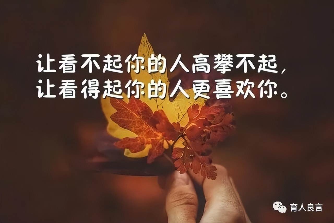 有深度的人生哲理句子（哲理句子人生感悟精辟）