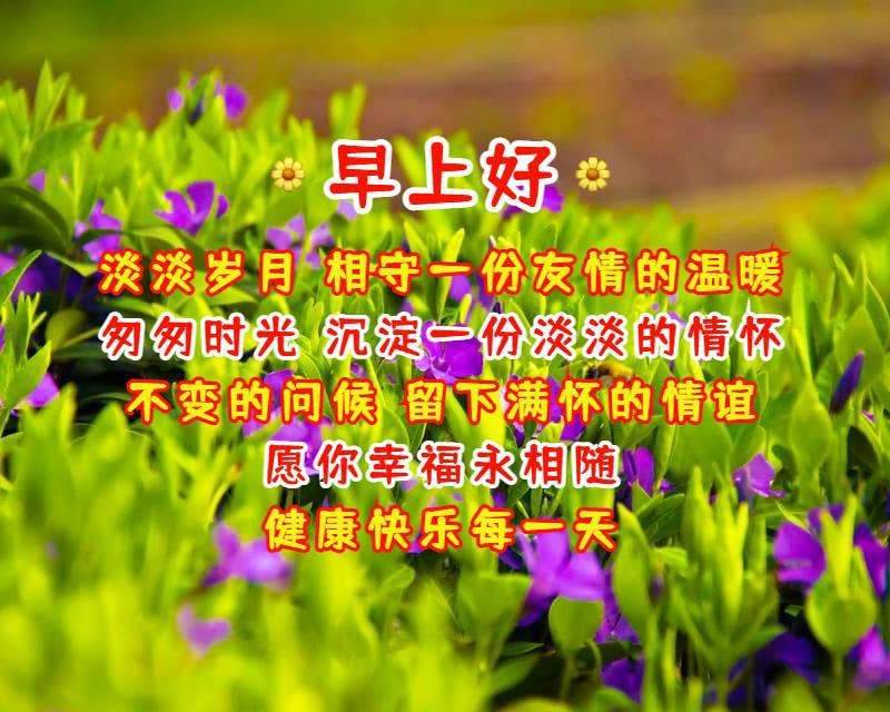 給朋友的早上好的祝福語帶圖片（最新微信早上好祝福語圖片）