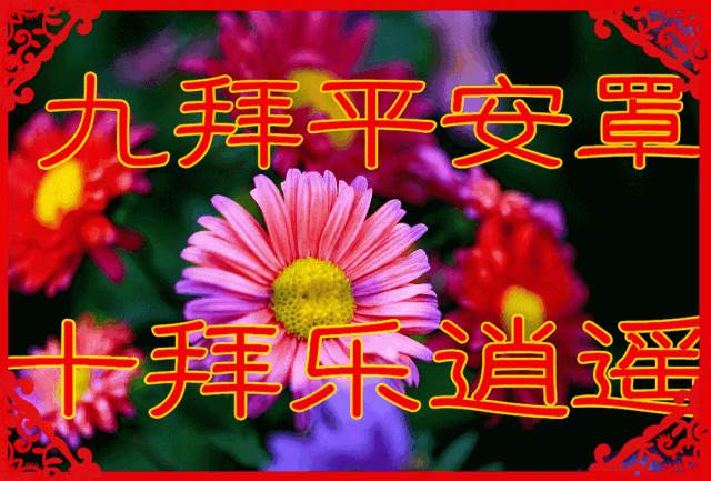 2022年虎年祝福語（虎年吉祥話）