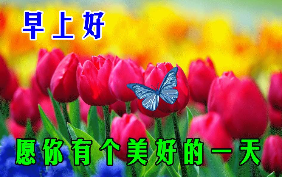 3月14日早上好圖片_周四快樂早上好動態圖片