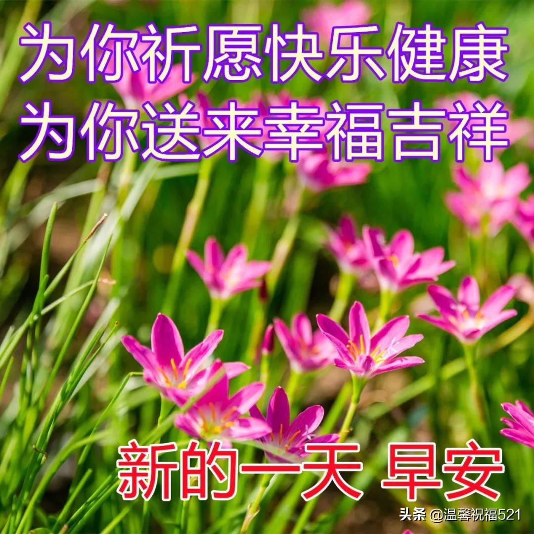 唯美早安文案 早安文案短句