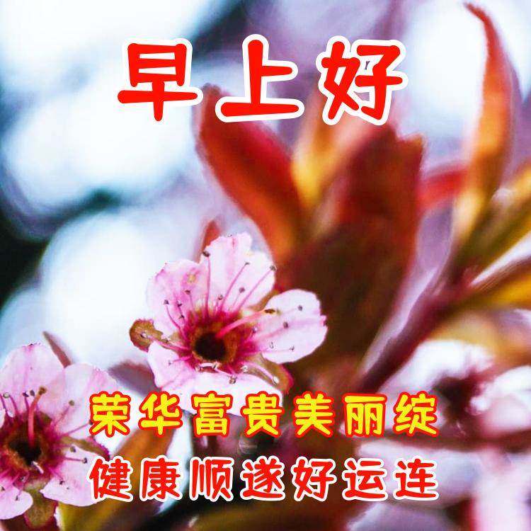 祝福平安健康快樂早上好問候語（早上問候平安健康好運快樂幸福語）