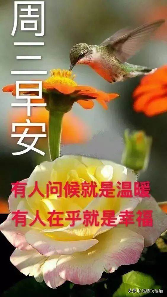 周日早安問候祝福圖片來美篇（早上好祝福語優美句子動態圖片）